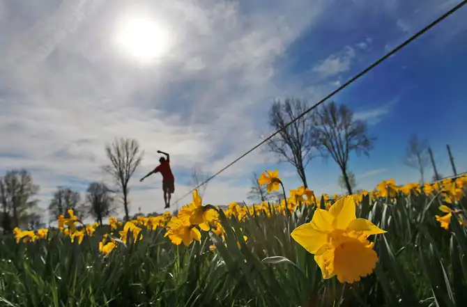 Первые весенние дни