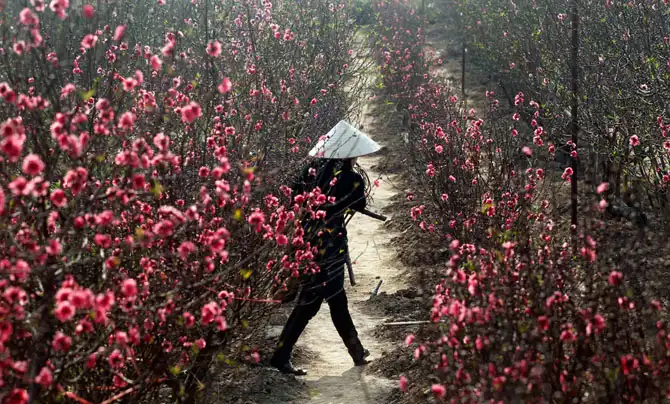 Первые весенние дни