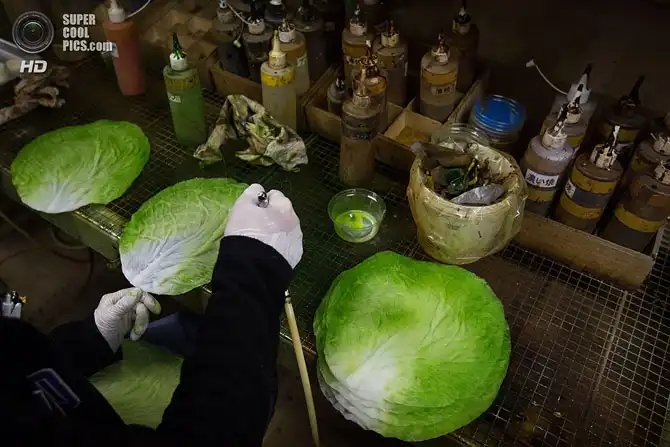 Как выглядят блюда с витрин