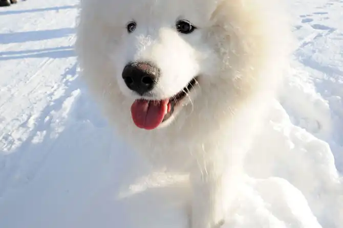 Один день за Полярным кругом