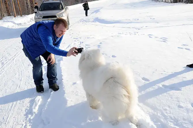 Один день за Полярным кругом