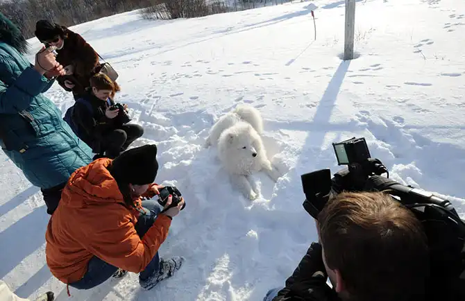 Один день за Полярным кругом