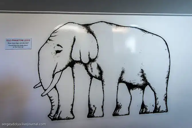 Экскурсия в новозеландский город иллюзий Puzzling World