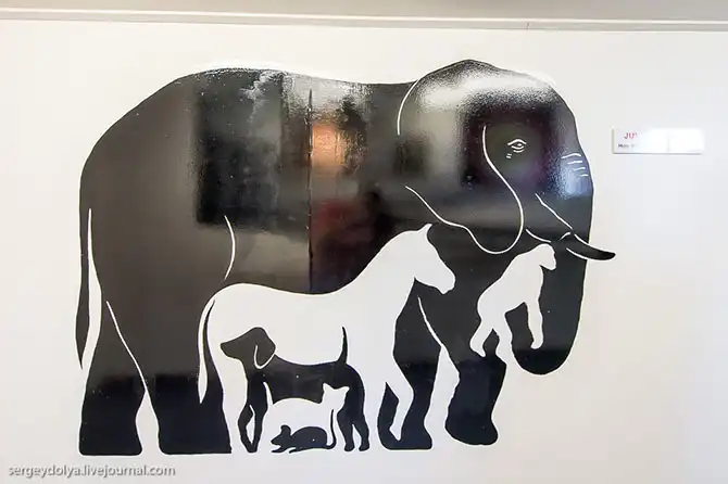 Экскурсия в новозеландский город иллюзий Puzzling World