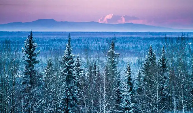 Охота за Северным сиянием в Фэрбенкс на Аляске