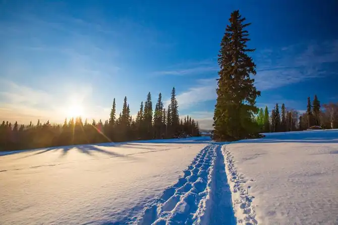 Охота за Северным сиянием в Фэрбенкс на Аляске