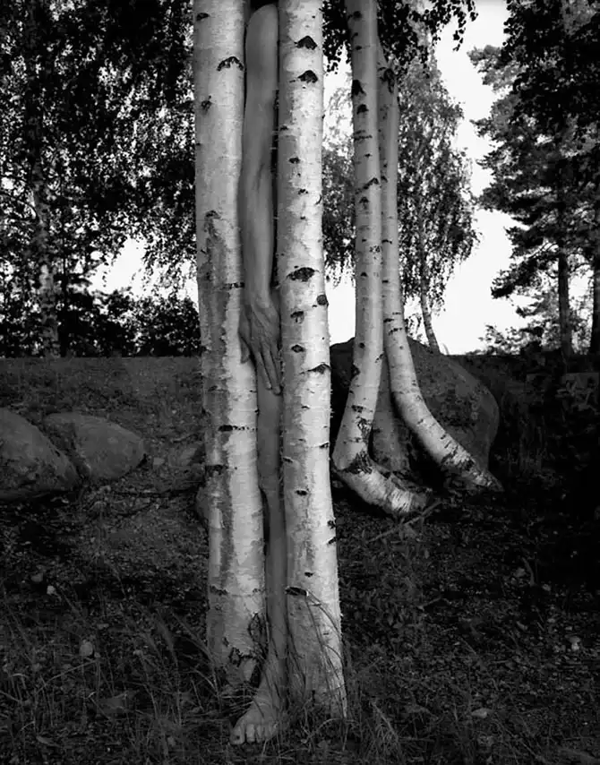 Необычные автопортреты Арно Минккинена