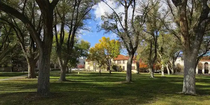 20 учебых заведений Америки, где учатся самые умные студенты