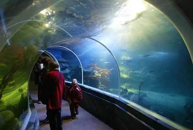 Водная архитектура