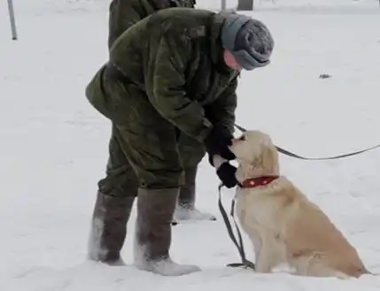 Как живут и трудятся