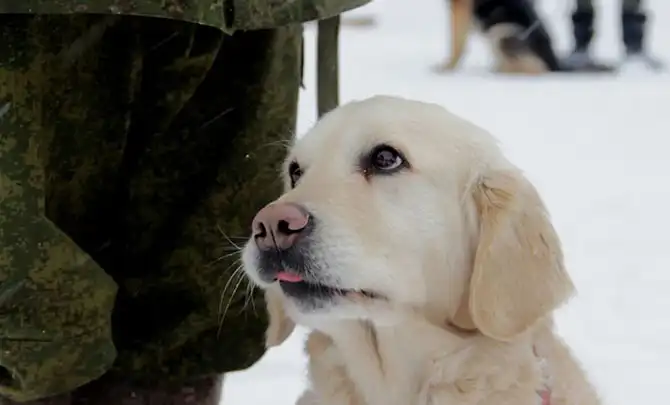 Как живут и трудятся