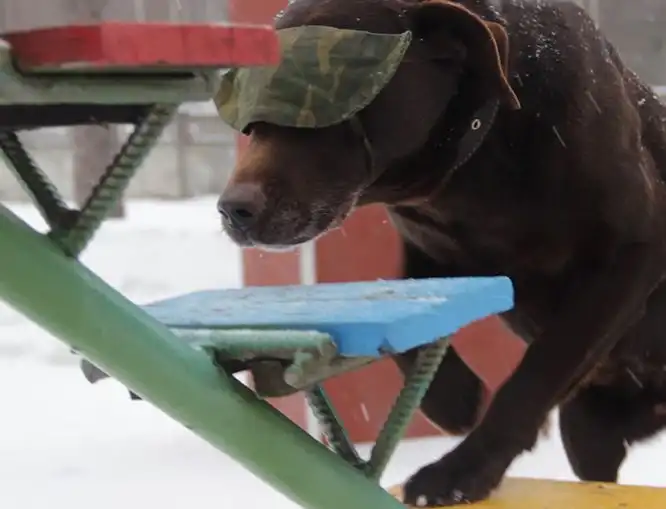 Как живут и трудятся