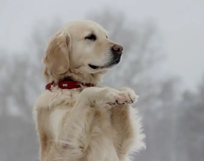 Как живут и трудятся