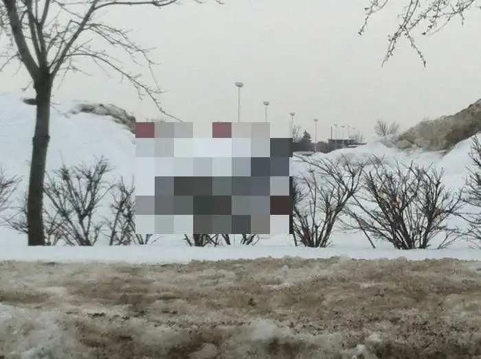 Первые "подснежники" для автолюбителей