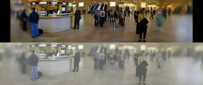 7 самых любопытных фактов о взаимоотношениях человека и кошки