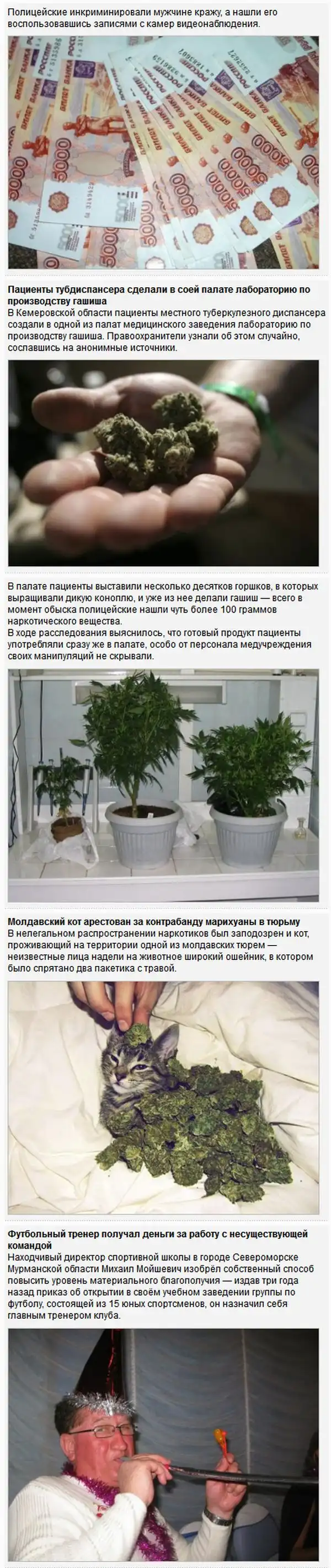 Топ-20 самых необычных преступления за 2013 год