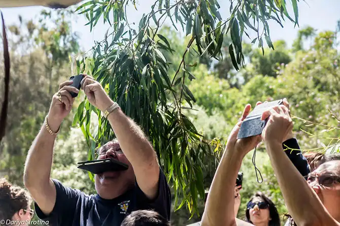 Путешествие по Великой Океанской дороге