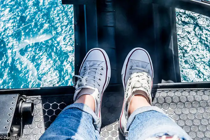 Путешествие по Великой Океанской дороге