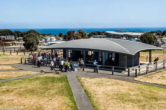 Путешествие по Великой Океанской дороге