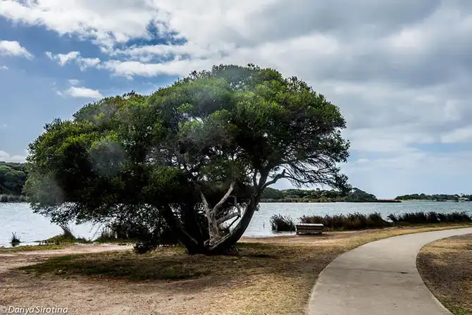 Путешествие по Великой Океанской дороге