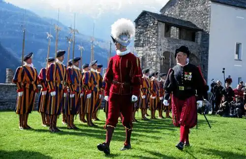 Кто такие «дикие гуси»?