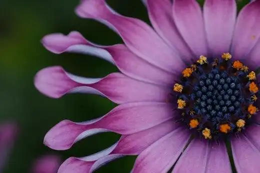 Соляночка =З