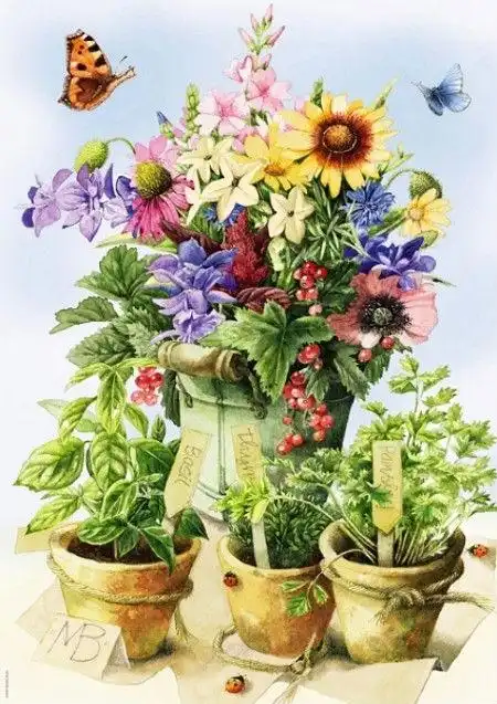 Marjolein Bastin, голландская художница, писатель и иллюстратор