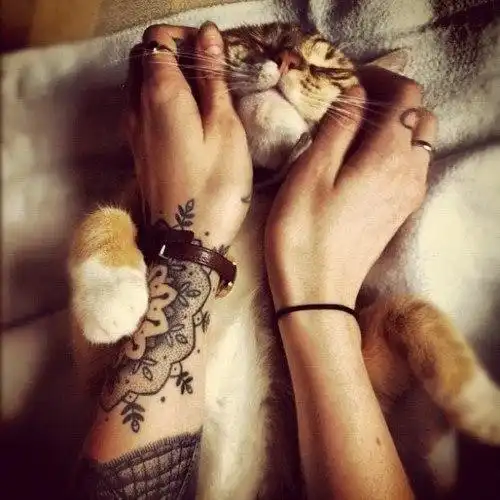 Соляночка =З