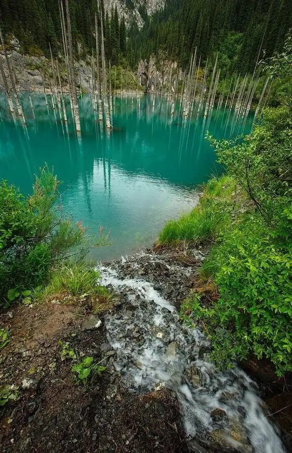 Удивительный затонувший лес: озеро Каинды