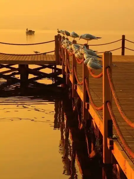 Соляночка =З