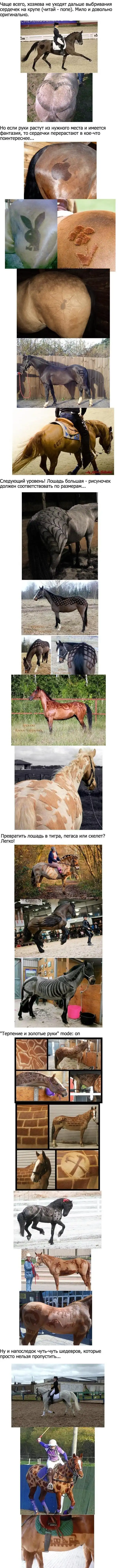 Лошадинные прически =)