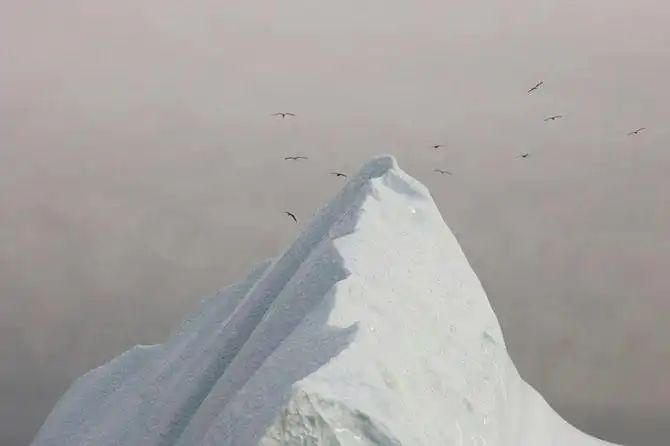 Величественное путешествие айсбергов