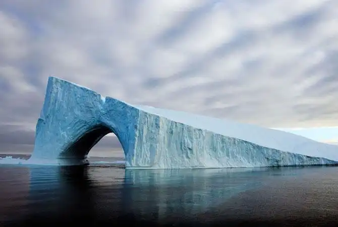 Величественное путешествие айсбергов