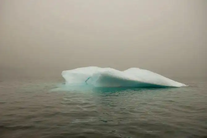 Величественное путешествие айсбергов
