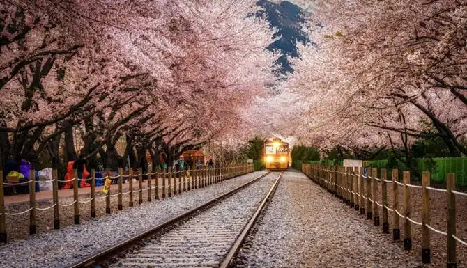 Самые красивые тоннели в мире