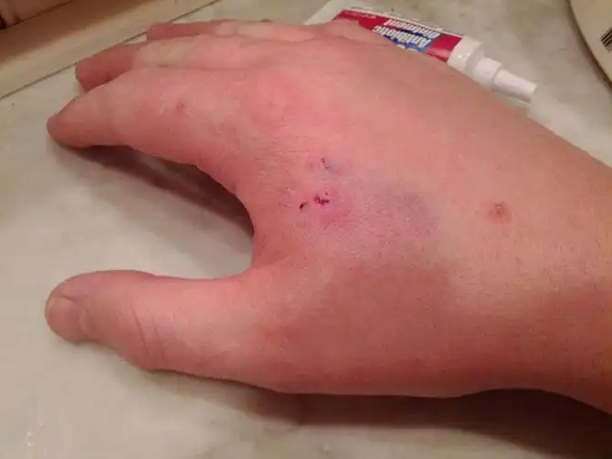 10 изобретений из фильмов, которые появились в реальности