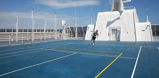 Как путешествовать на круизном лайнере, не выходя из дома