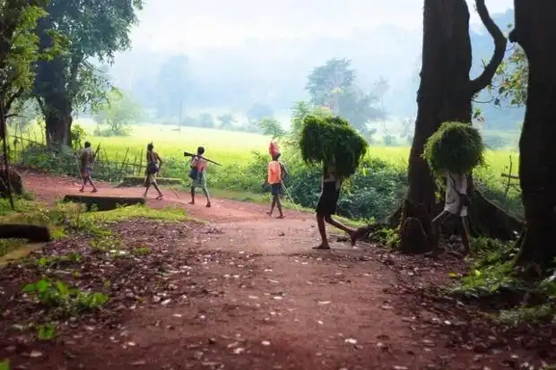 Повседневная жизнь сельских жителей в Индии
