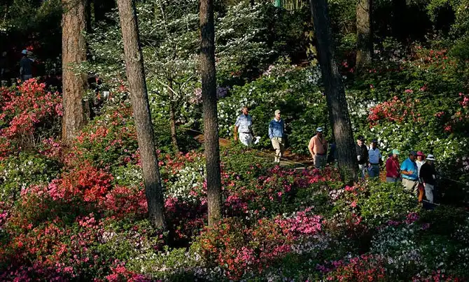 Как проходил самый престижный турнир по гольфу