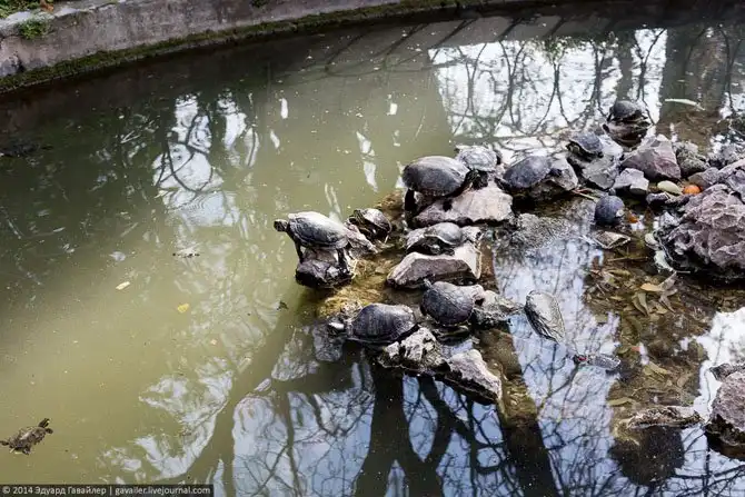 Прогулка по улицам Афин