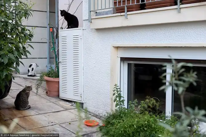 Прогулка по улицам Афин