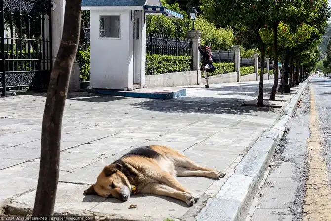 Прогулка по улицам Афин
