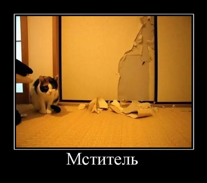 Картинки в черной рамке (30.04.14)