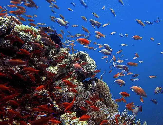 Семь «цветных» географических объектов