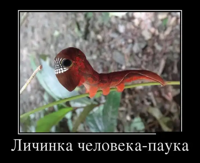 Картинки в черной рамке (02.04.14)