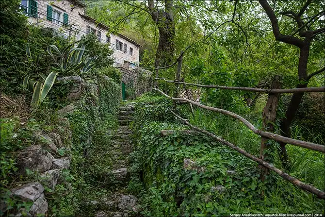 Королевство мертвых стен