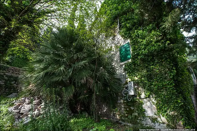 Королевство мертвых стен