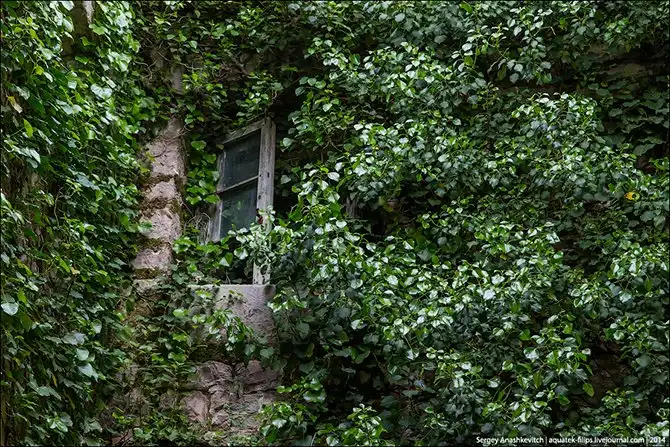 Королевство мертвых стен