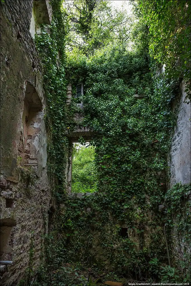 Королевство мертвых стен