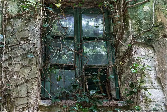 Королевство мертвых стен